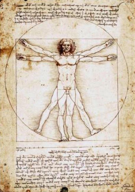 Leonardo Da Vinci Studio di proporzioni del corpo umano detto Uomo Vitruviano.