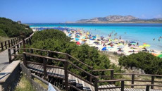 Uno scorcio della spiaggia La Pelosa (Sardegna)