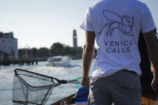 Un ragazzo appartenente all'organizzazione Venice Calls in azione.