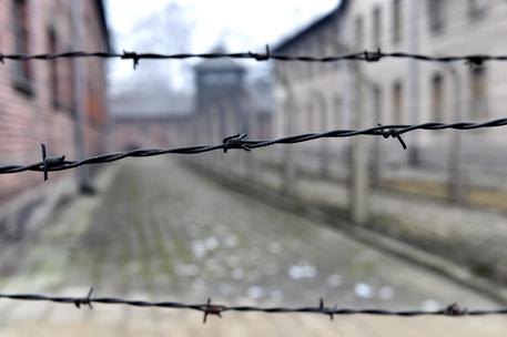 Una foto del reticolato ad Auschwitz-Birkenau, nel Giorno della Memoria.