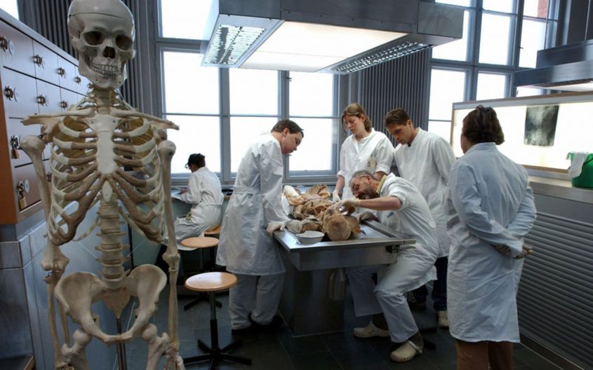 Studenti di medicina durante una lezione di anatomia.