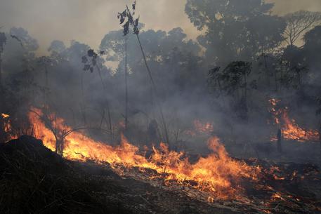 Un incendio lungo la strada alla Foresta Nazionale Jacunda, vicino la cittá di Porto Bello