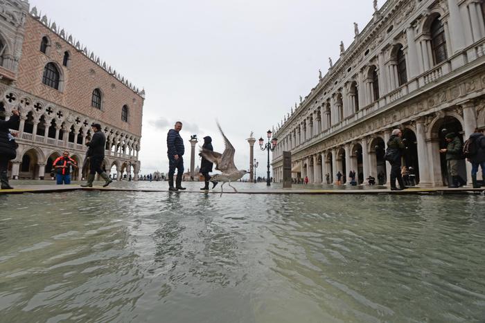In una foto d'archivio Piazza San Marco durante l'alta marea del 2019..