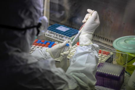 Specialisti lavorano alla ricerca del vaccino contro il Coronavirus nel laboratorio DaAn Gene in Guangzhou, Cina.