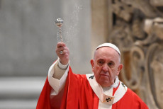 Papa Francesco durante la benedizione nella Domenica delle Palme.