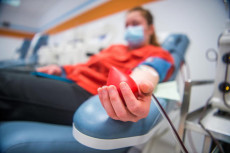 Una donna dona il sangue per trasfusione plasma.