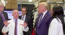 Antony Fauci spiega al presidente Donald Trump gli effetti del Coronavirus.