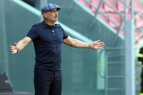 L'allenatore del Bologna Sinisa Mihajlovic in panchina durante una partita.