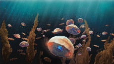 Meduse bioniche. Hanno sensori che potranno trasformarle in sentinelle della vita negli oceani, al servizio della biologia