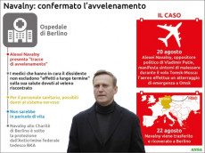 Grafica sul caso Navalny.