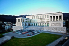 Università degli Studi Trieste.