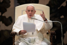 Papa Francesco durante l'udienza papale.