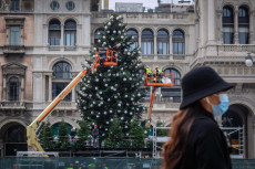 L'istallazione dell'albero di Natale in piazza a Milano