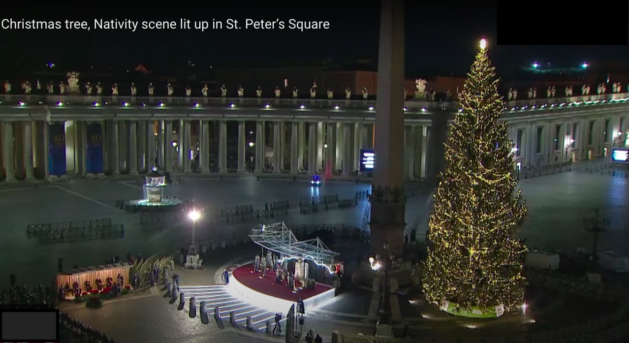 Accensione albero di Natale e Presepe in Piazza San Pietro