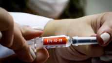 Russia, vaccino anti-Covid per animali.