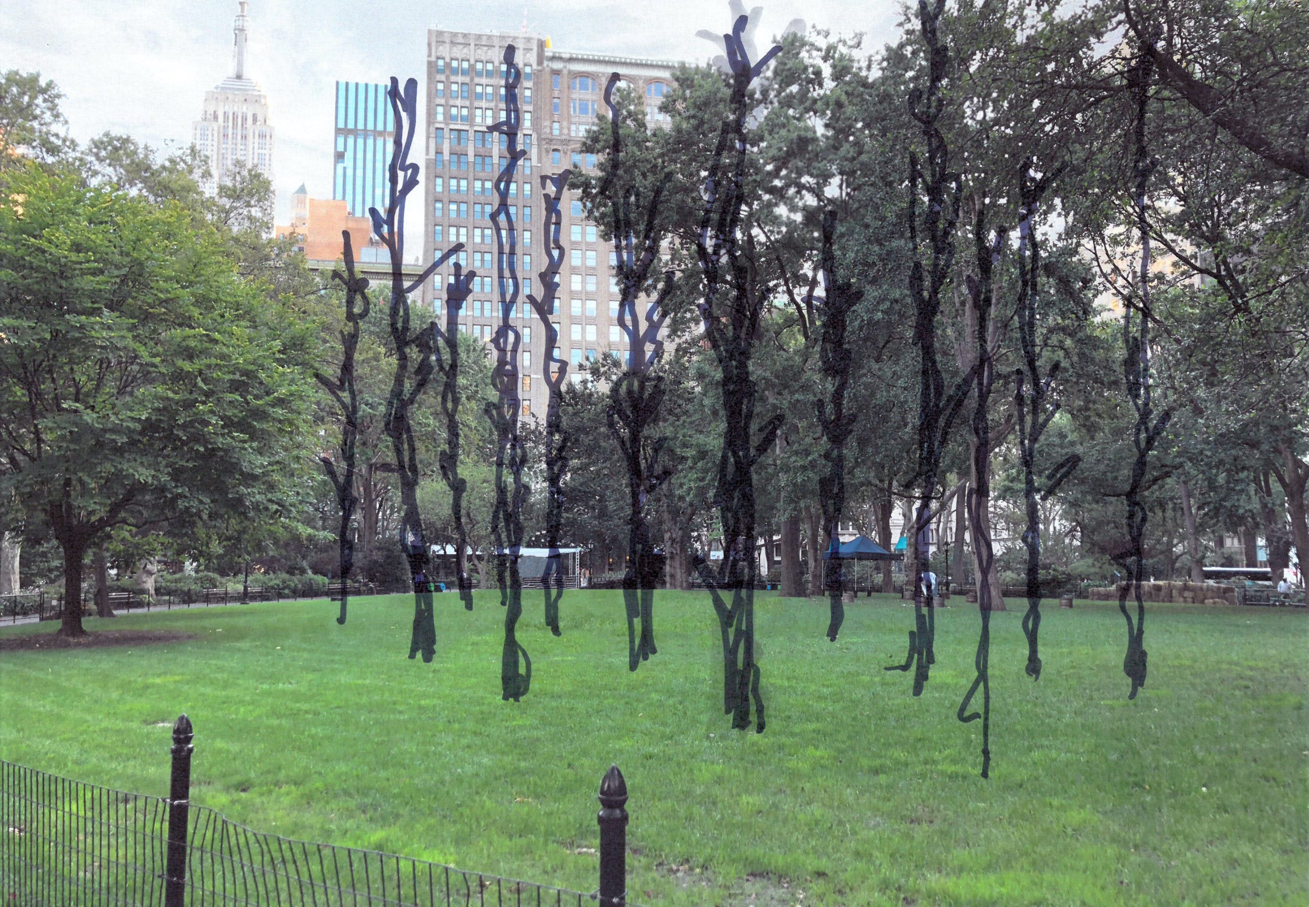 La foresta di Madison Square Park piantata da Maya Lin.