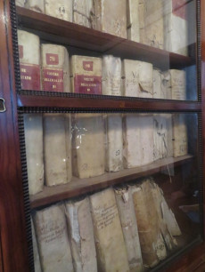 Libri antichi in uno scaffale.