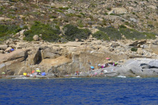Isola d'Elba, turisti su una spiaggia..
