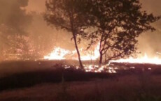 Incendio in bosco di Gravina.