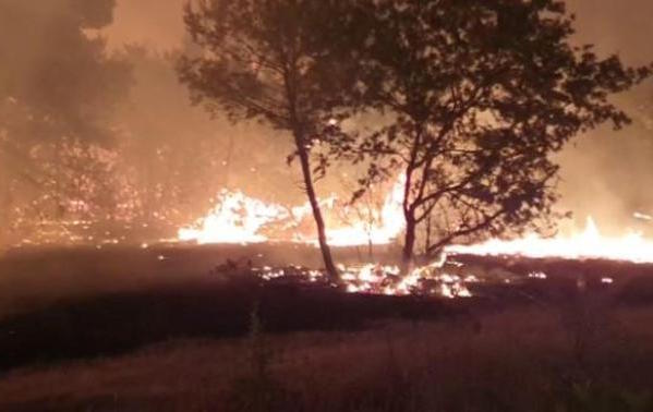 Incendio in bosco di Gravina.