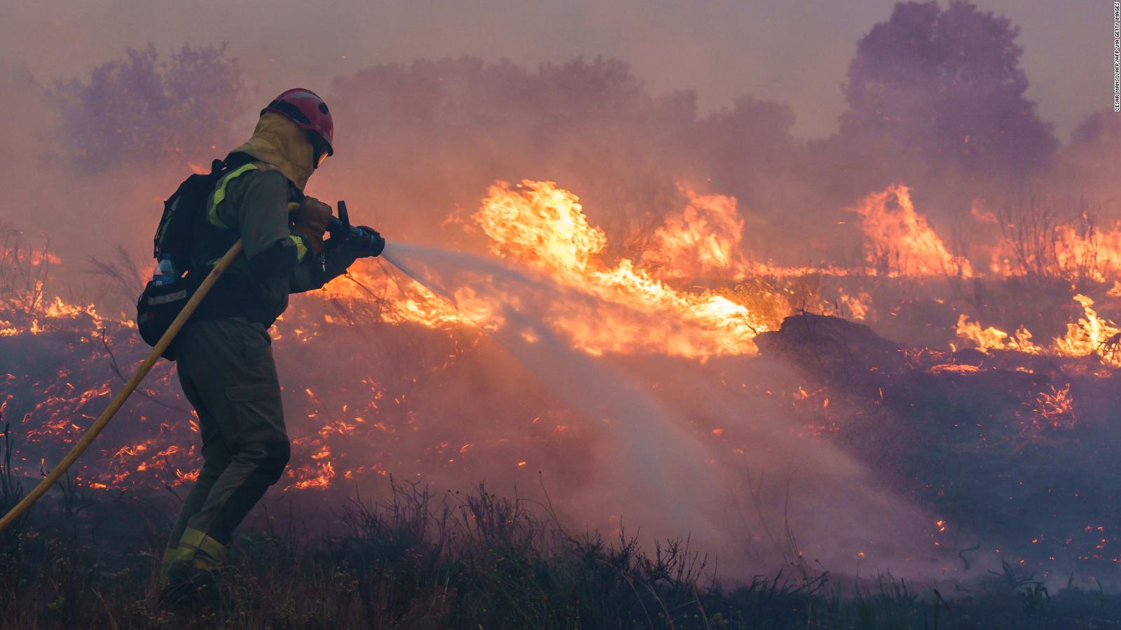 Le fiamme hanno divorato migliaia di ettari di boschi