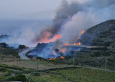 Un incendio è divampato a Pantelleria nelle contrade Favarotta, Khamma e Perimetrale. Le fiamme stanno divorando ettari di vegetazione e mettendo in pericolo diverse abitazioni che sono state evacuate