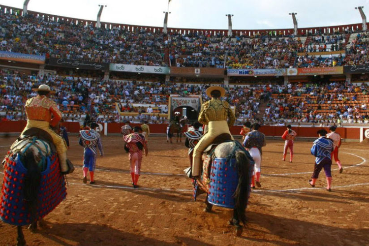 Ciudad de México aprueba las corridas de toros sin violencia - La Voce ...