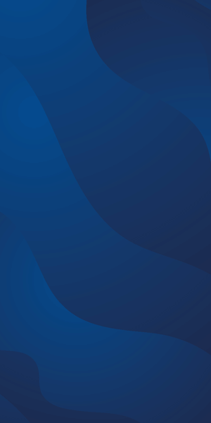 Banner Pubblicità Comites Madrid